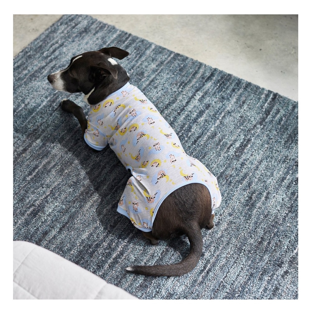 Frisco Pet apparel